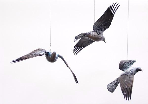 Bronze flying pigeon sculpture by Anna Williams