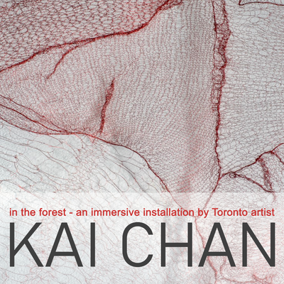 Kai Chan Solo Exhibition at Mississippi Valley Textile Museum