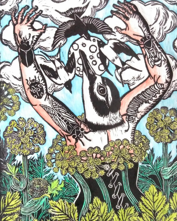 Killdeer, Hand Coloured Linocut Print by Stephanie Hill