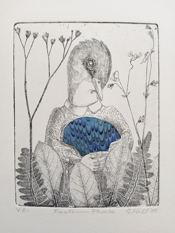 Eastern Phoebe Etching with Blue Chine Collée by Stephanie Hill