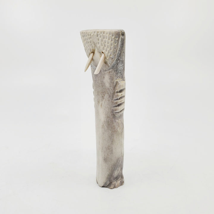 Antler Walrus, small caribou antler carving by Amie Kakee in Pangnirtung, Nunavut.