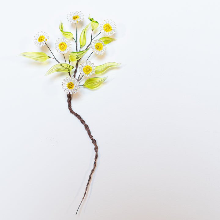 Growth - Daisy, 2023. 
