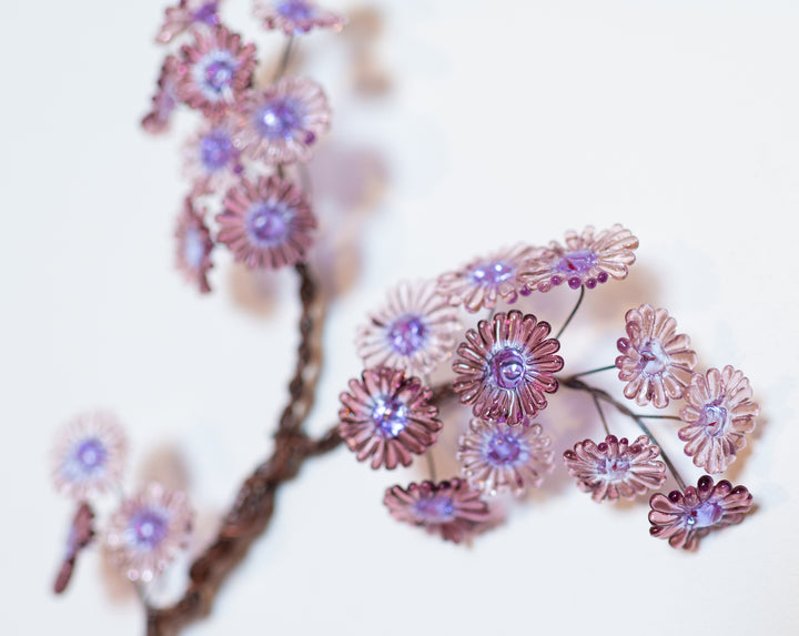 rowth - Purple Aster (large), 2023. 