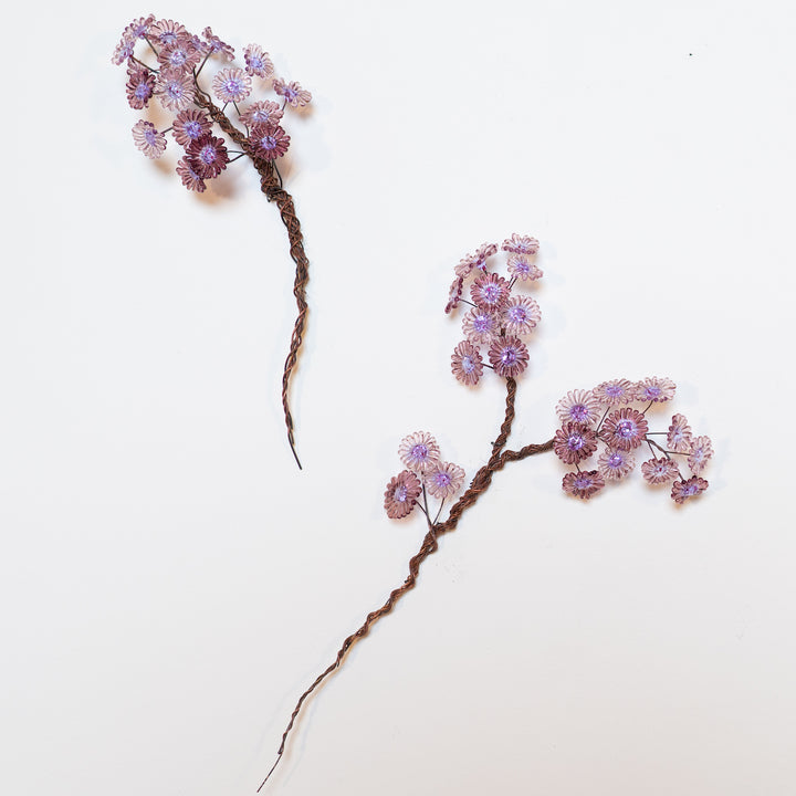 Growth - Purple Aster (small), 2023. 