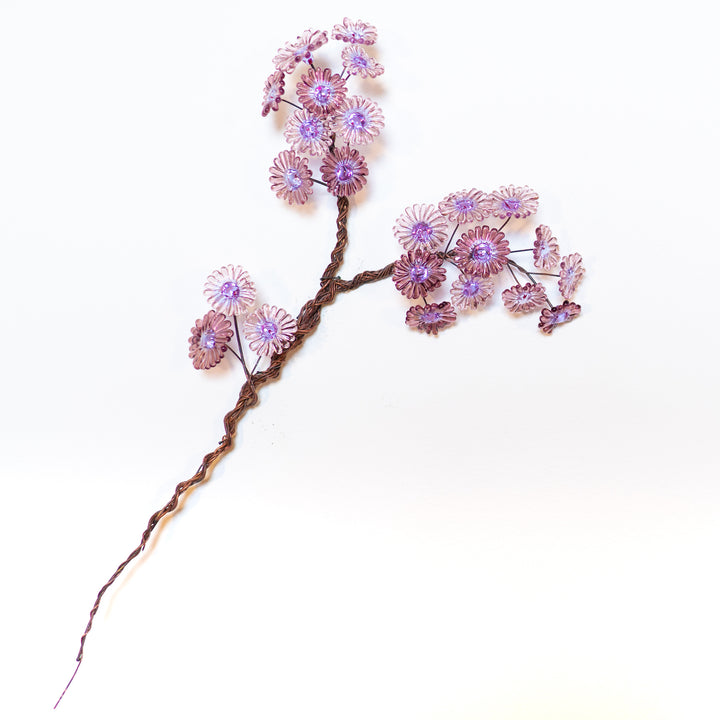 rowth - Purple Aster (large), 2023. 