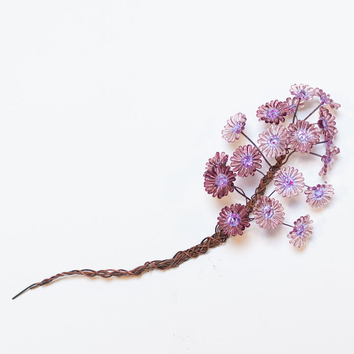 Growth - Purple Aster (small), 2023. 