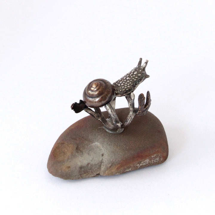 Snail ring, side