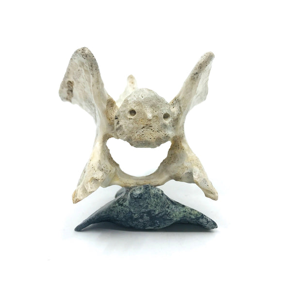 Owl, carving by Iziasie Kopalie