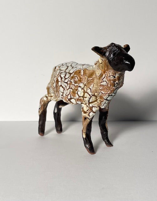 SUFFOLK SHEEP
