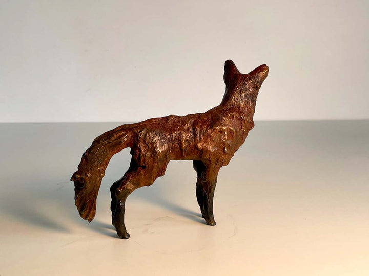 Bronze fox, back
