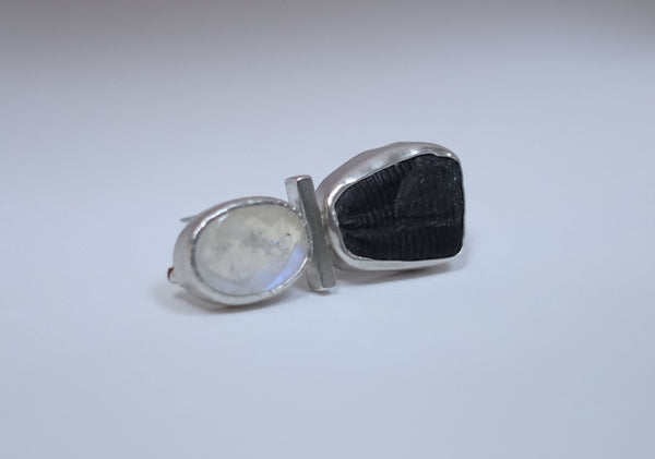 trilobite brooch