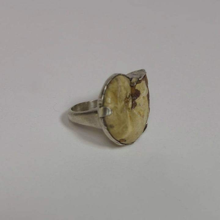 fossil ring