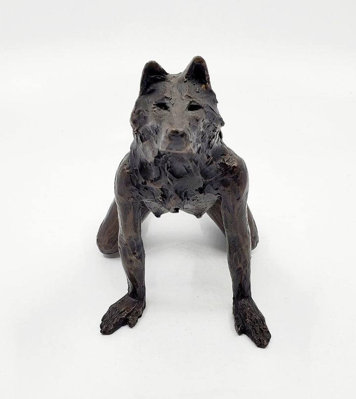She Wolves series. She Wolf on all fours with feet together. Individual cast bronze sculpture. Approx. 7" x 4" x 3".