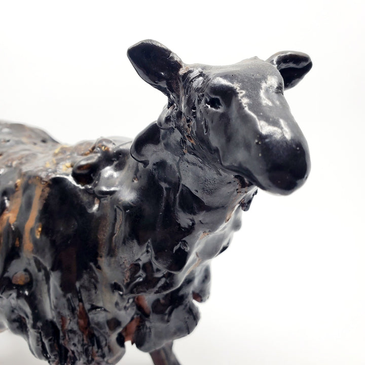 Black Sheep. ﻿Erin Robertson is an artist who works in various media. 