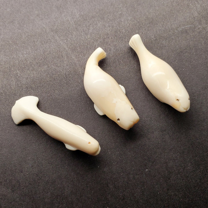 Mini walrus carving made from walrus tooth. Pictured here with his mini beluga and mini seal carvings.
