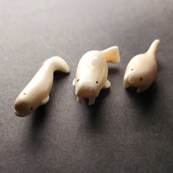 Mini walrus carving made from walrus tooth. Pictured here with his mini beluga and mini seal carvings.