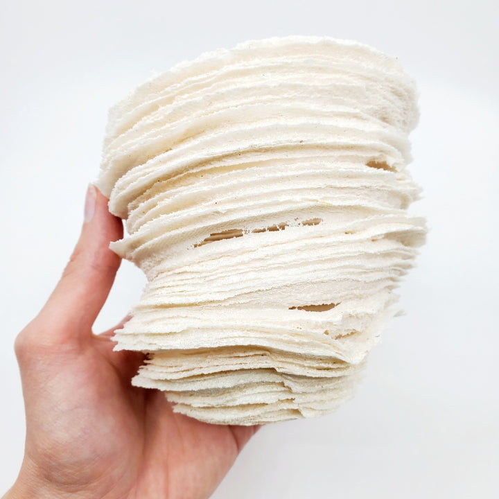 Cherished: Rift, glass vessel, 2023. The artist manipulates the physical characteristics of powdered glass, building it up in layers to achieve organic forms reminiscent of land formations.  5" x 5" x 5"