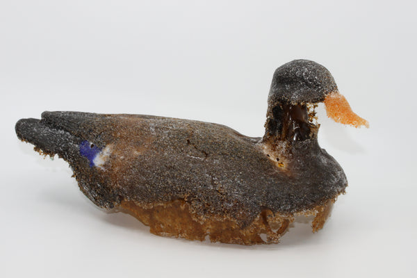 Glass duck by Gayle Buzzi