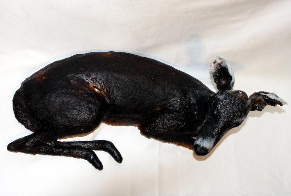The Doe, life-size cast glass doe sculpture.  39 x 75 x 39 cm