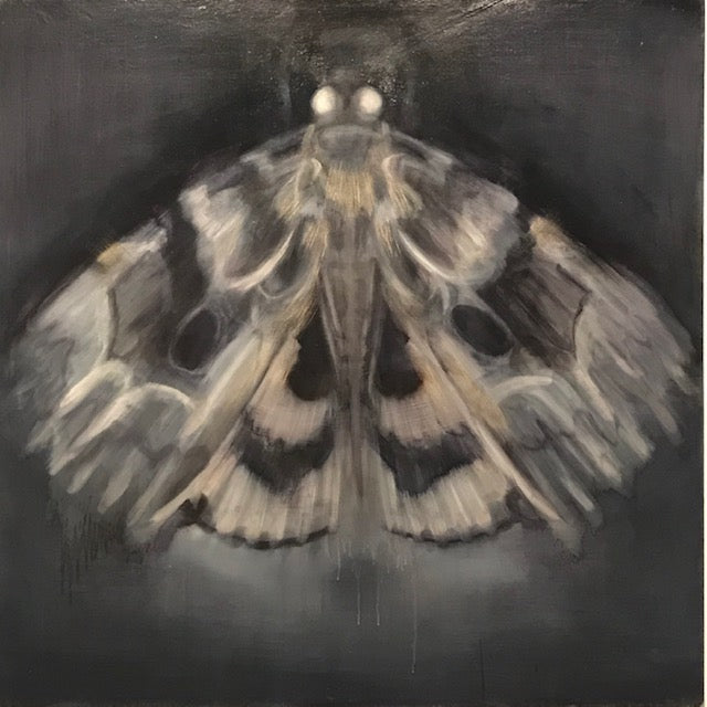 Papillon de Nuit  Oil on canvas  36 x 36"