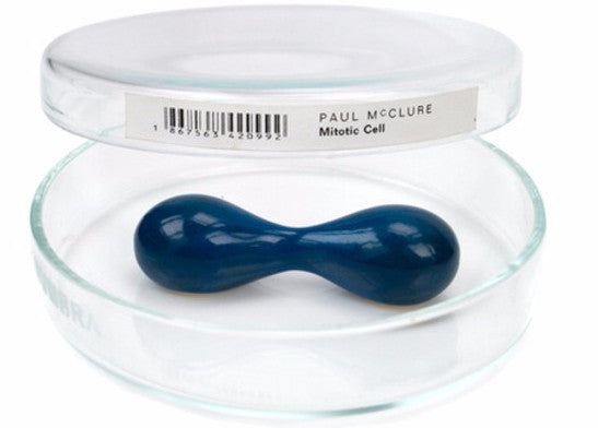 Mitotic Cell Pin, with sterling silver, resin, neodymium magnets by Paul McClure
