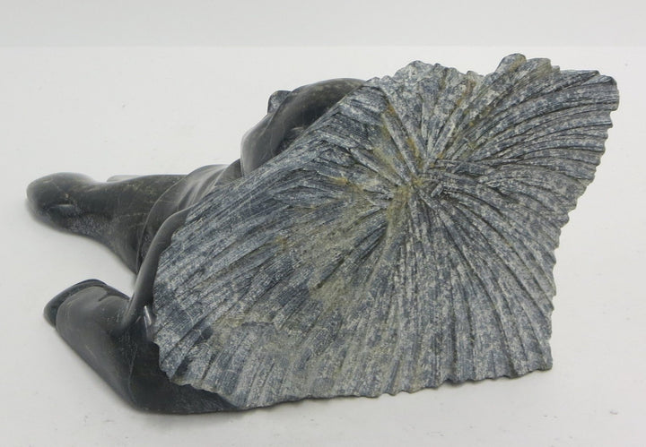 Sedna, rear view