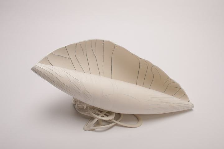 Shell I, large porcelain shell 35.5l x 14h x 13d cm, 2022.
