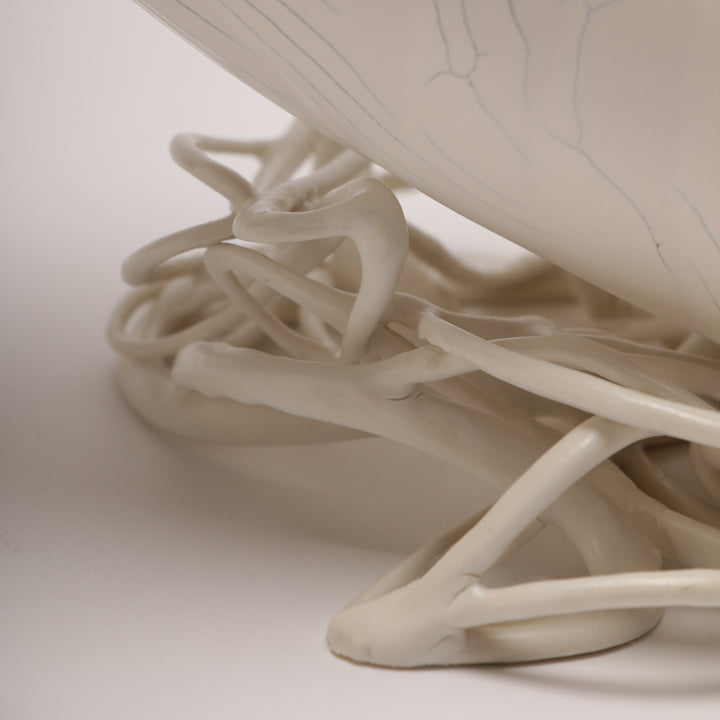 Shell I, large porcelain shell 35.5l x 14h x 13d cm, 2022.