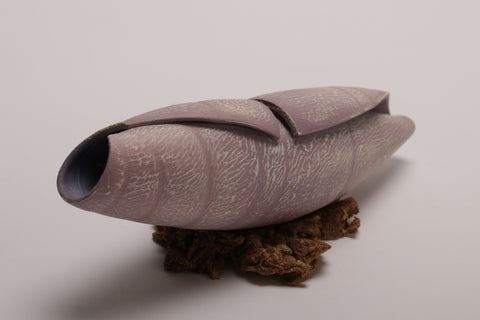 Small shell 1 - porcelain textured shell sculpture in a light purple shade  22l x 7.5h x 6d cm