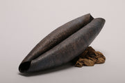 Small shell 5 - porcelain textured shell sculpture in black.  22l x 7.5h x 7d cm