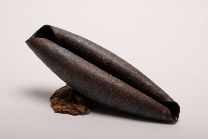 Small shell 5 - porcelain textured shell sculpture in black.  22l x 7.5h x 7d cm