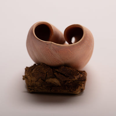 Small shell 8 - porcelain textured shell sculpture in terracotta  22l x 7.5h x 7d cm