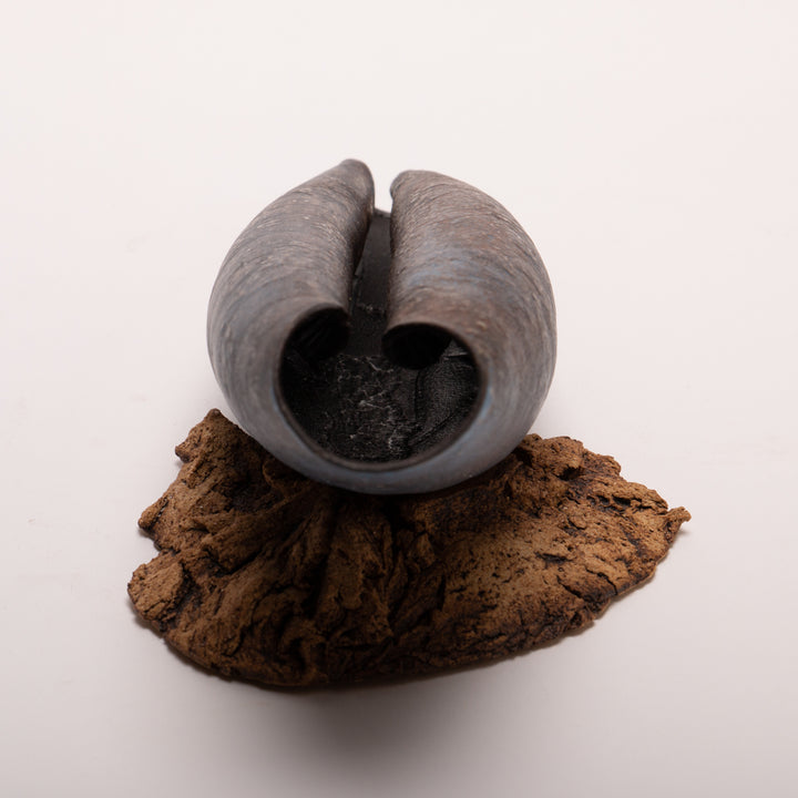 Small shell 5 - porcelain textured shell sculpture in black.  22l x 7.5h x 7d cm