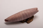 Small shell 7 - porcelain textured shell sculpture in lilac and orange  22l x 7h x 7.5d cm