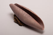 Small shell 7 - porcelain textured shell sculpture in lilac and orange  22l x 7h x 7.5d cm