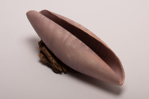 Small shell 7 - porcelain textured shell sculpture in lilac and orange  22l x 7h x 7.5d cm