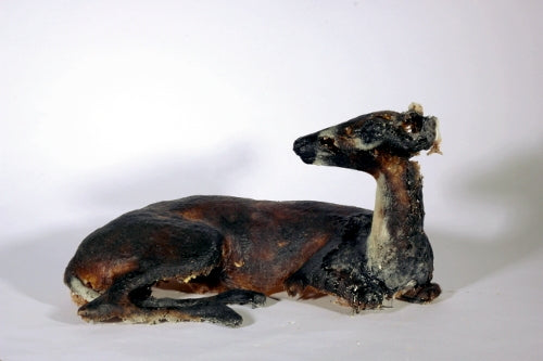 The Doe, life-size cast glass doe sculpture.  39 x 75 x 39 cm