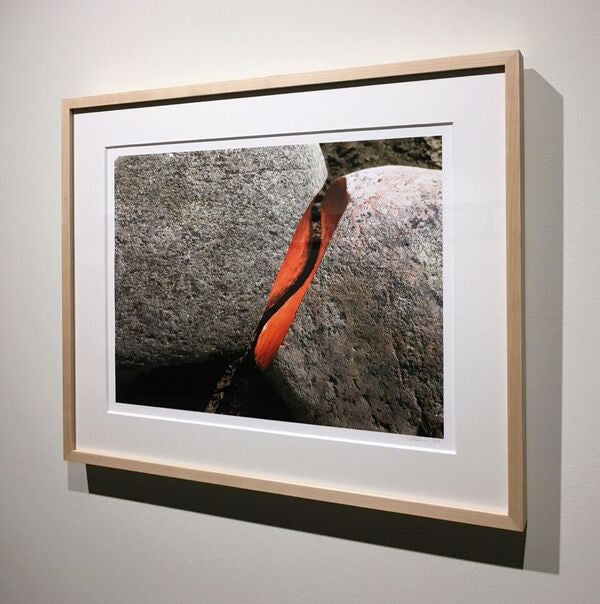 Slow Burn, digital print on archival somerset by Michael Belmore.