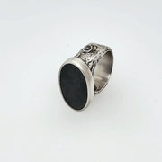 Magnetite with jadeite ring, front